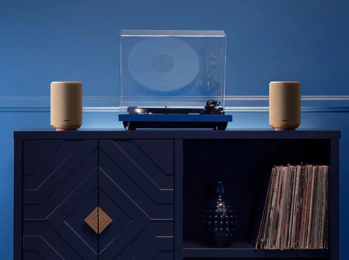 Bose Lifestyle Ultra Speaker